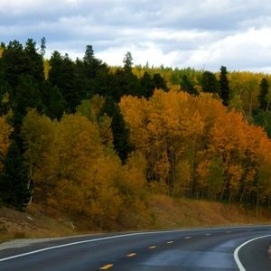 Meet your Posher, Teri